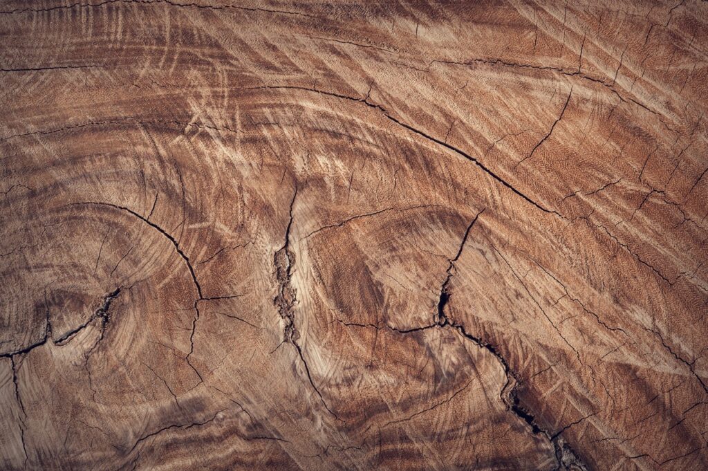vernice per il legno