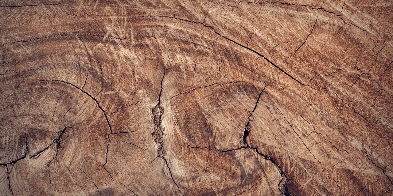 vernice per il legno